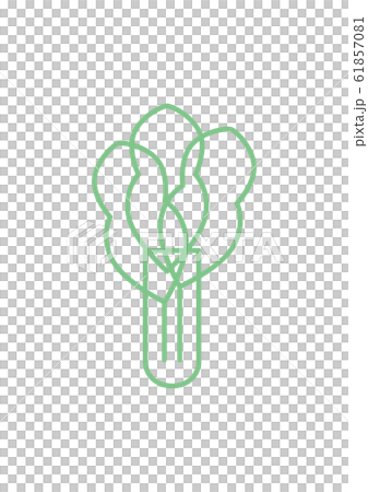 Spinach line drawing Spinach line drawing 61857081