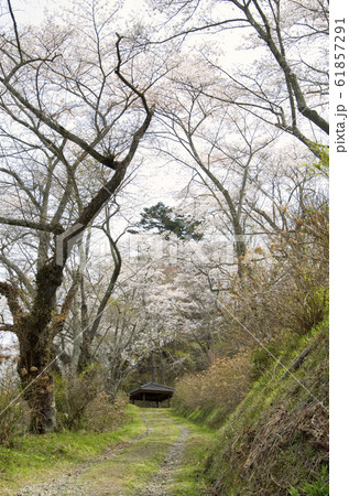 芦野御殿山 芦野御殿山 61857291