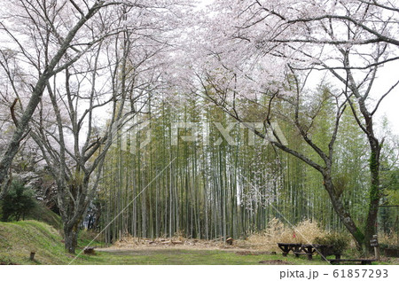 芦野御殿山 芦野御殿山 61857293