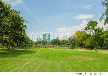 Tropical view of green lawn grass meadow field and trees in public park with city buildings in the background. (Selective focus) 61858157