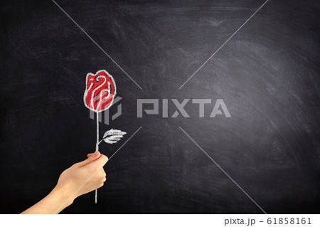 Female hand holding handwriting red rose chalk doodle on chalkboard. Female hand holding handwriting red rose chalk doodle on chalkboard. 61858161