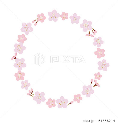 桜のフレーム 円形 丸のイラスト素材