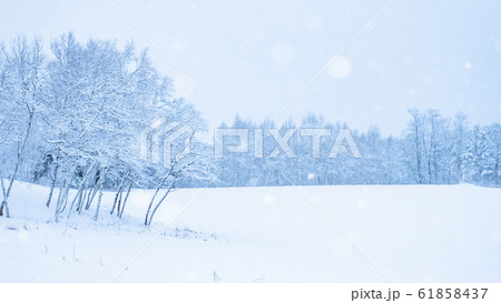 雪原 雪原 61858437