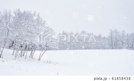 雪原 雪原 61858438
