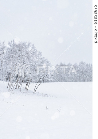 雪原 61858635
