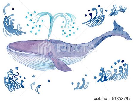 シロナガスクジラ 水彩のイラスト素材 61858797 Pixta