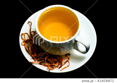 Cordyceps militaris mushroom Cordyceps militaris mushroom 61858872