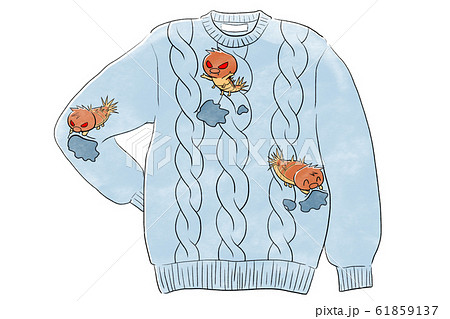 虫食いされたセーター 61859137