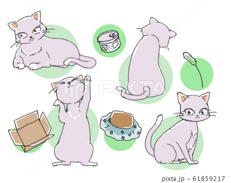 lovecat lovecat 61859217
