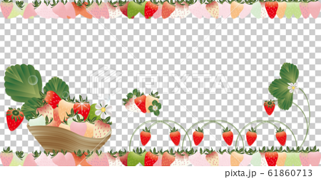 いちごの葉と花カラフルなイチゴのラインの可愛いイラストバナー素材のイラスト素材 61860713 Pixta