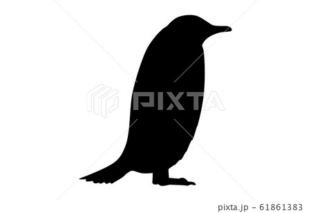 動物シルエット海 川ペンギン4のイラスト素材