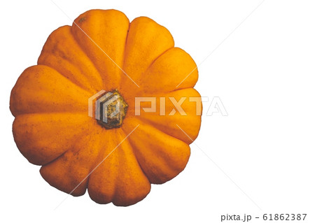 Single fresh orange miniature pumpkin isolated on 61862387
