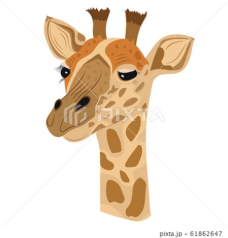 Vector giraffe isolated white background 61862647