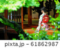 京都の情景02 61862987