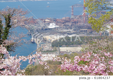 桜咲く音戸の瀬戸公園から眺めた呉湾と製鉄所の景色 桜咲く音戸の瀬戸公園から眺めた呉湾と製鉄所の景色 61864237