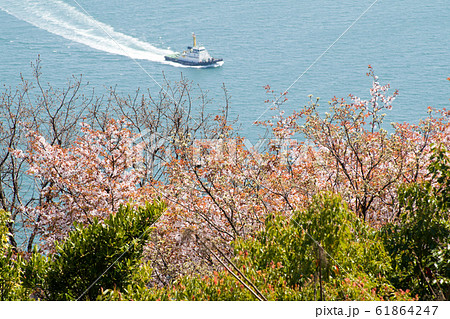 桜咲く音戸の瀬戸公園から眺めた瀬戸内海の景色 桜咲く音戸の瀬戸公園から眺めた瀬戸内海の景色 61864247