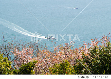 桜咲く音戸の瀬戸公園から眺めた瀬戸内海の景色 桜咲く音戸の瀬戸公園から眺めた瀬戸内海の景色 61864248