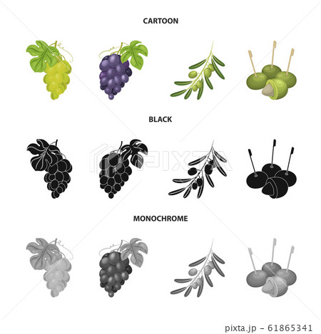 Vector design of berry and fruit logo. Set of berry and redberry stock symbol for web. 61865341