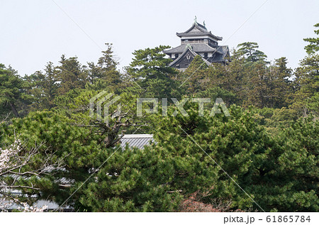 武家屋敷から眺め松江城の天守 武家屋敷から眺め松江城の天守 61865784