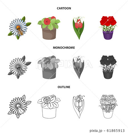 Vector design of spring and wreath logo. Collection of spring and blossom vector icon for stock. Vector design of spring and wreath logo. Collection of spring and blossom vector icon for stock. 61865913