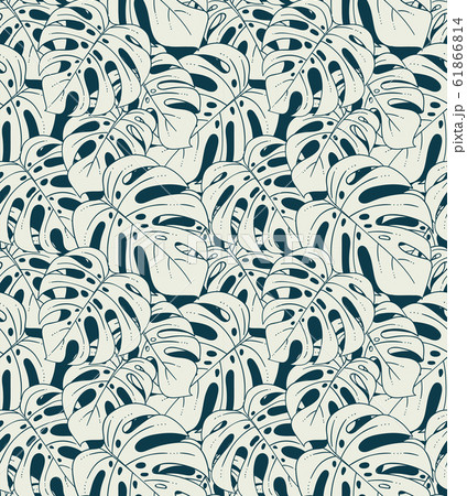 Monstera plant  seamless pattern 61866814