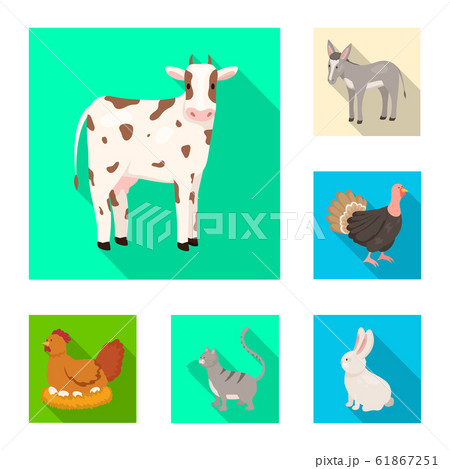 Vector illustration of breeding and kitchen icon. Collection of breeding and organic stock vector illustration. 61867251