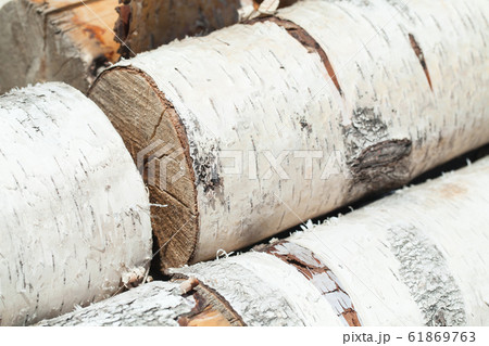Pile of firewood. Stacked birch tree chocks Pile of firewood. Stacked birch tree chocks 61869763