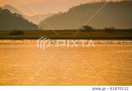 米子水鳥公園の夕焼け 61870112