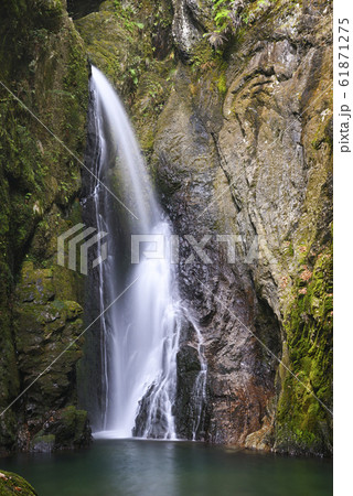 釜ヶ滝　三の滝（岐阜県郡上市美並町） 61871275