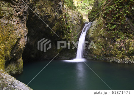 釜ヶ滝 一の滝(岐阜県郡上市美並町) 釜ヶ滝 一の滝(岐阜県郡上市美並町) 61871475