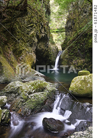 釜ヶ滝　一の滝（岐阜県郡上市美並町） 61871482