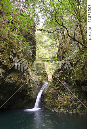 釜ヶ滝　一の滝（岐阜県郡上市美並町） 61871508