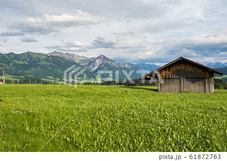 Autumn Impressions at Schweineberg near Sonthofen, Bavaria Germany 61872763