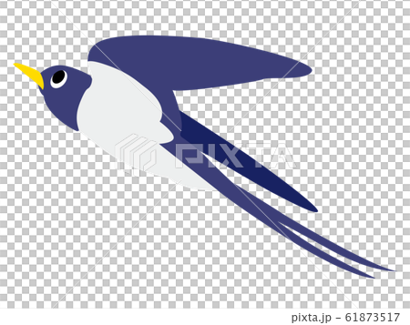 空飛ぶつばめのイラスト 空飛ぶつばめのイラスト 61873517