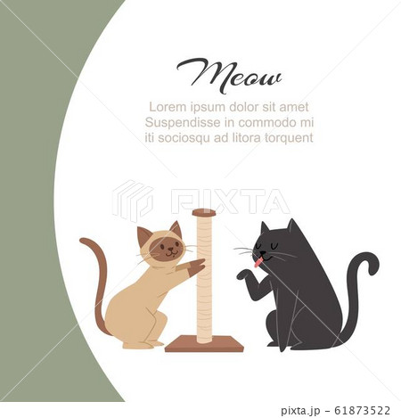 Funny cartoon cats scratching claw sharpener and licking paw with meow typography vector illustration. 61873522