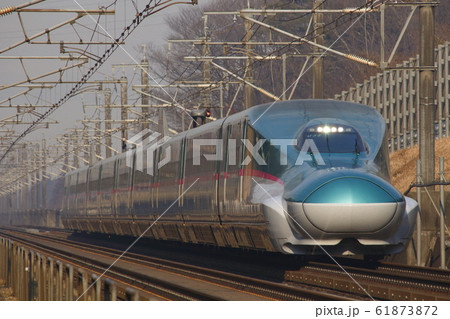 東北新幹線E5系(単独) 東北新幹線E5系(単独) 61873872