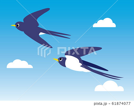 青空を飛ぶ2羽のつばめのイラストのイラスト素材