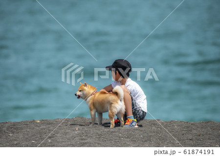 海を見つめる少年とマメ柴 61874191