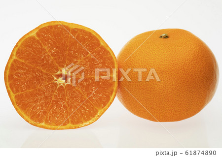 ミカン せとか 長崎県産 ミカン せとか 長崎県産 61874890