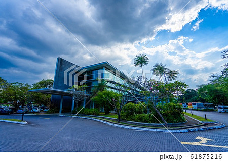 ロイヤルセランゴール 61875216