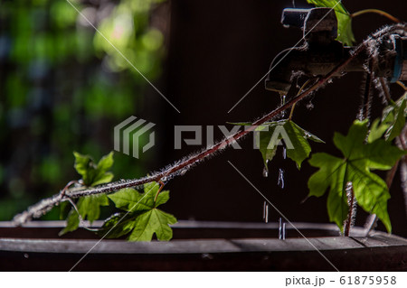 The moment of Water dripping flowing throug a The moment of Water dripping flowing throug a 61875958