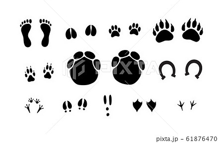 Vector Set Of Different Animals Foot Printのイラスト素材