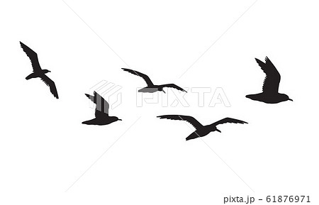 Vector Black Flock Of Seagulls Flying Silhouetteのイラスト素材