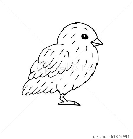 Vector hand drawn doodle sketch baby chick 61876991