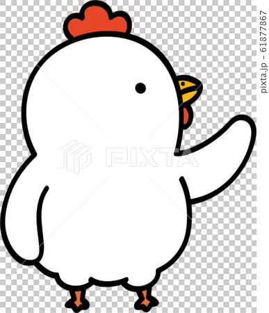 ニワトリ 横向き ニワトリ 横向き 61877867