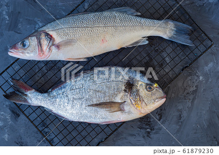 Fresh raw sea fish on ice cubes 61879230