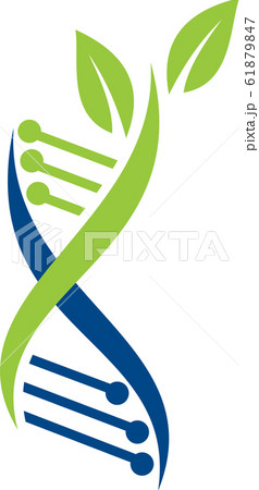 DNA vector logo design template, Genetics Vector Design DNA vector logo design template, Genetics Vector Design 61879847