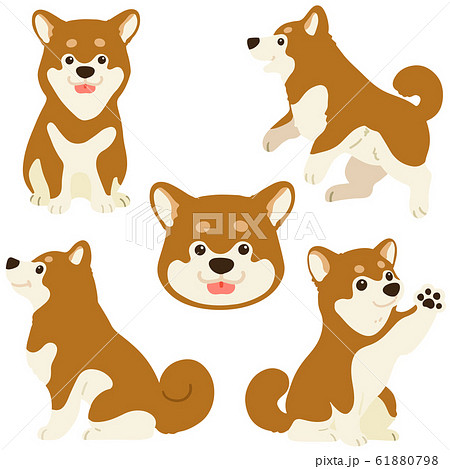 いろいろなポーズの柴犬 セット アウトラインなし いろいろなポーズの柴犬 セット アウトラインなし 61880798