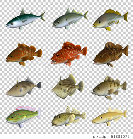 海水魚 イラスト 3d セット1のイラスト素材