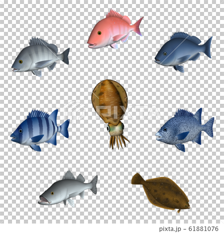 海水魚 イラスト 3d セット2のイラスト素材